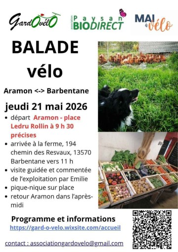 Balade vélo d'Aramon à Barbentane