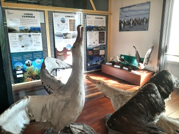 "Partez à la découverte des Terres australes et antarctiques françaises”