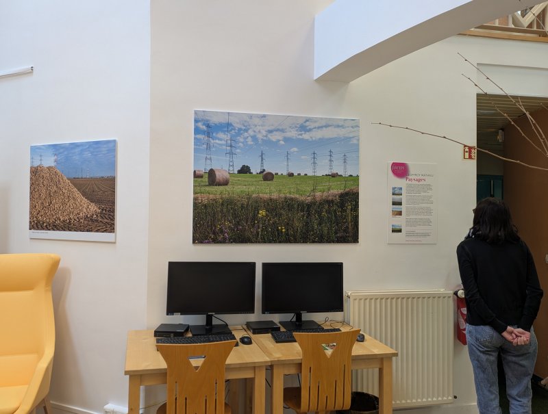 Festival Focus - Exposition "Paysages"