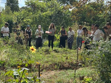 Visite botanique du jardin tinctorial et démo teinture végétale