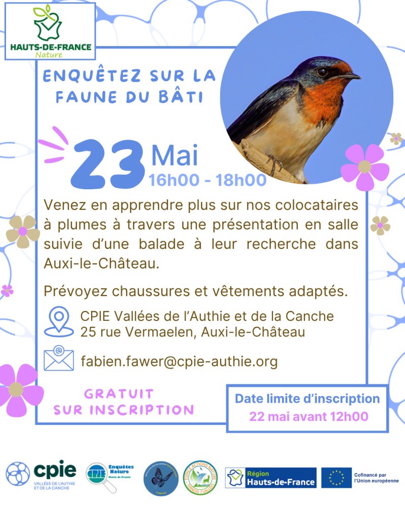 Enquêtez sur la faune du bâti