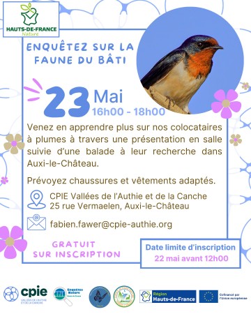 Enquêtez sur la faune du bâti