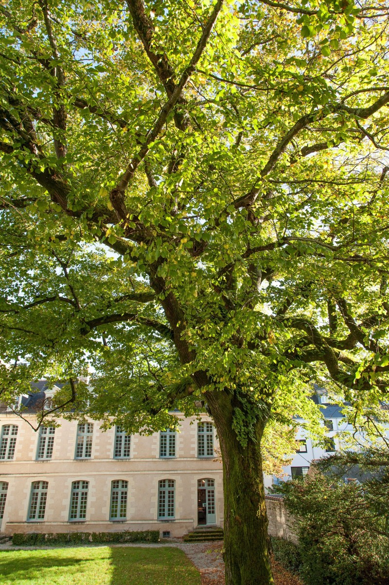 Dégustation boisson romaine
