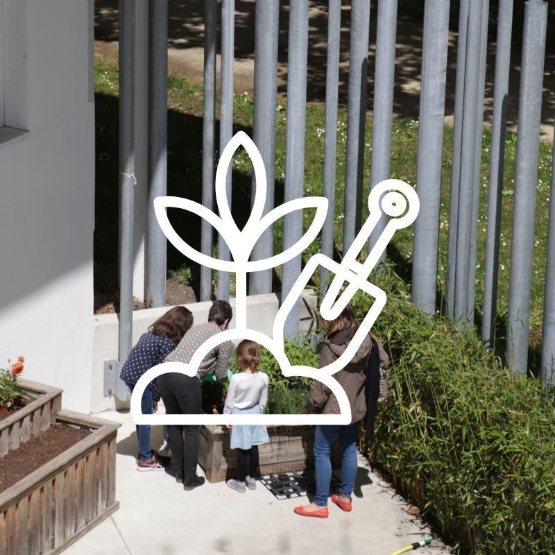 Plantation d’été