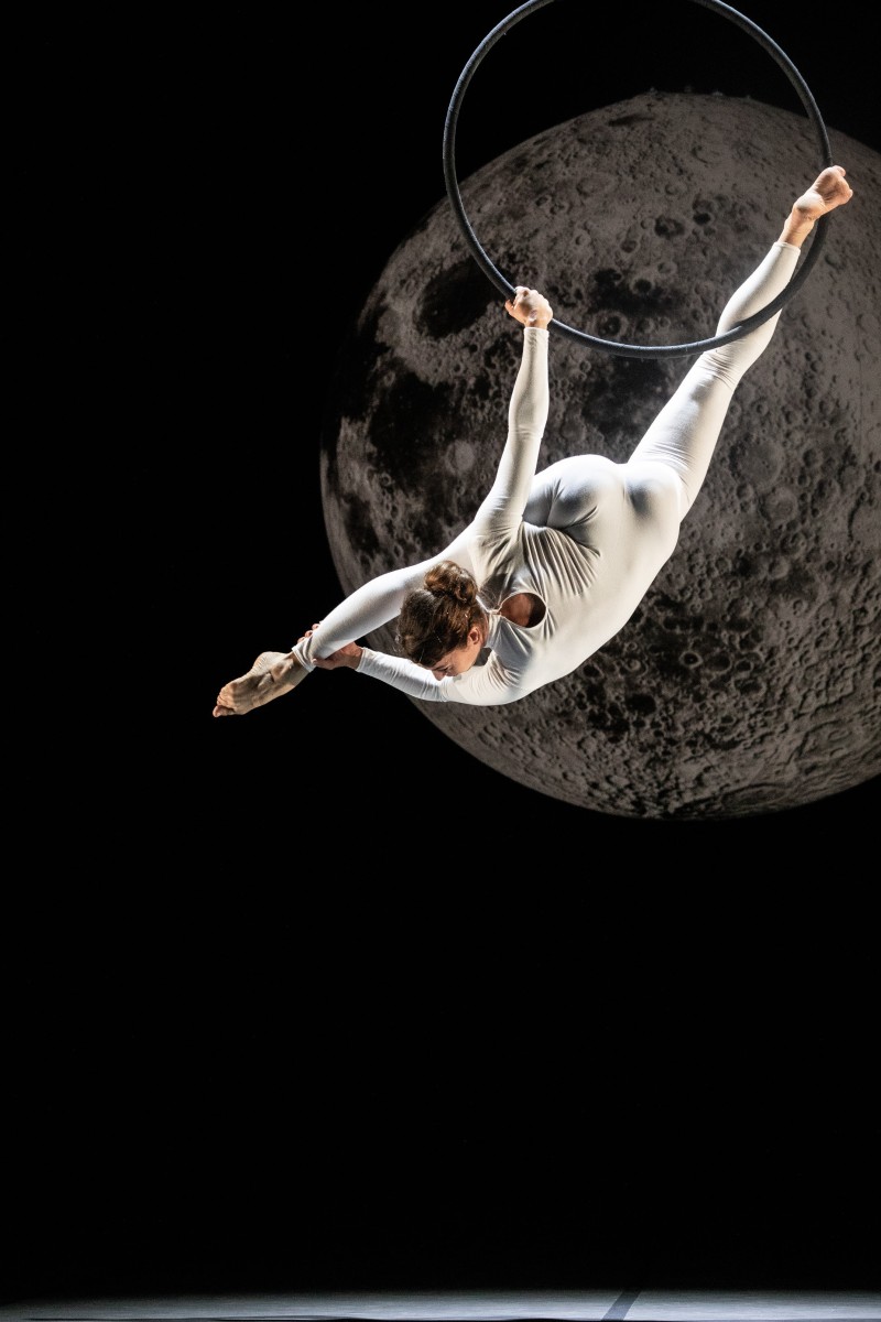 Mouvements au cœur du Palais