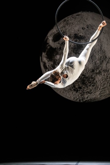 Mouvements au cœur du Palais