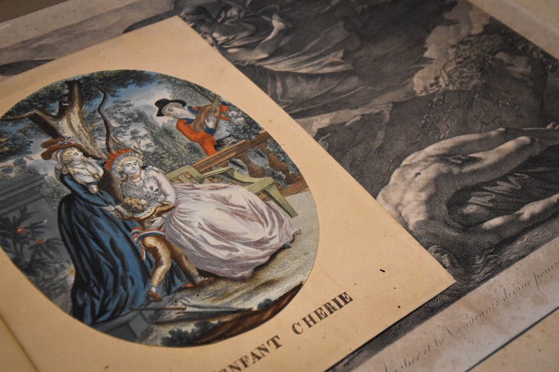 Visite guidée des réserves par la conservatrice