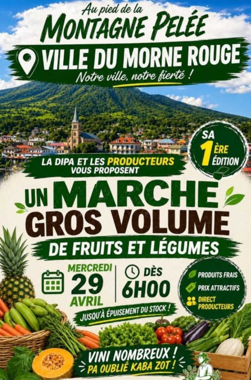 UN MARCHÉ GROS VOLUME DE FRUITS ET LÉGUMES 1ère Édition