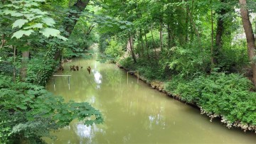 La biodiversité en bord de Garonne