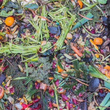 Que se passe-t-il réellement dans un compost ?
