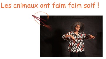 Les animaux ont faim faim soif !