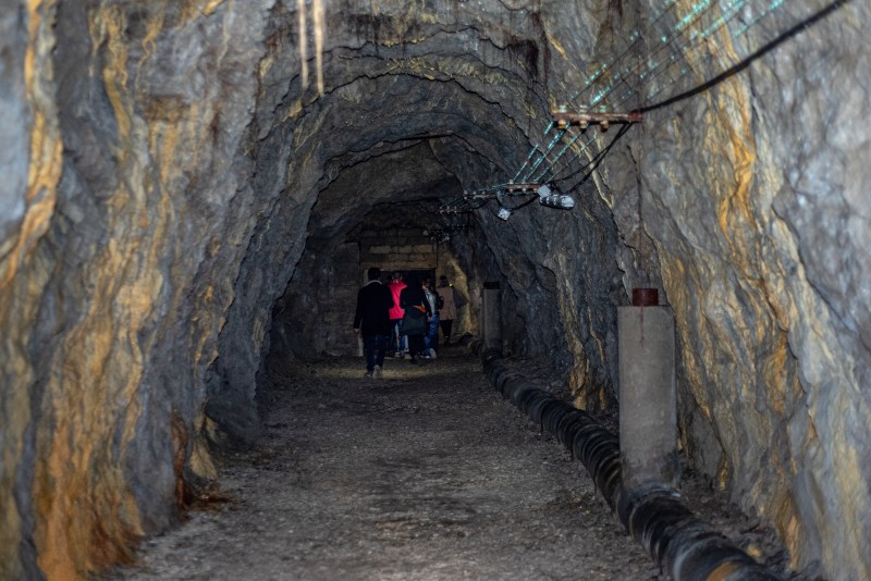 Visite commentée d'un abri antiaérien