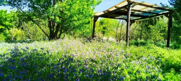 Portes ouvertes au Jardin du Grand Jas