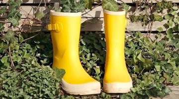 Les balades de Tistou