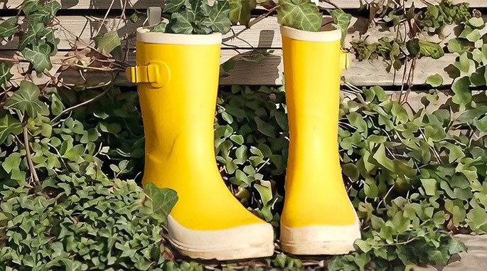 Les balades de Tistou