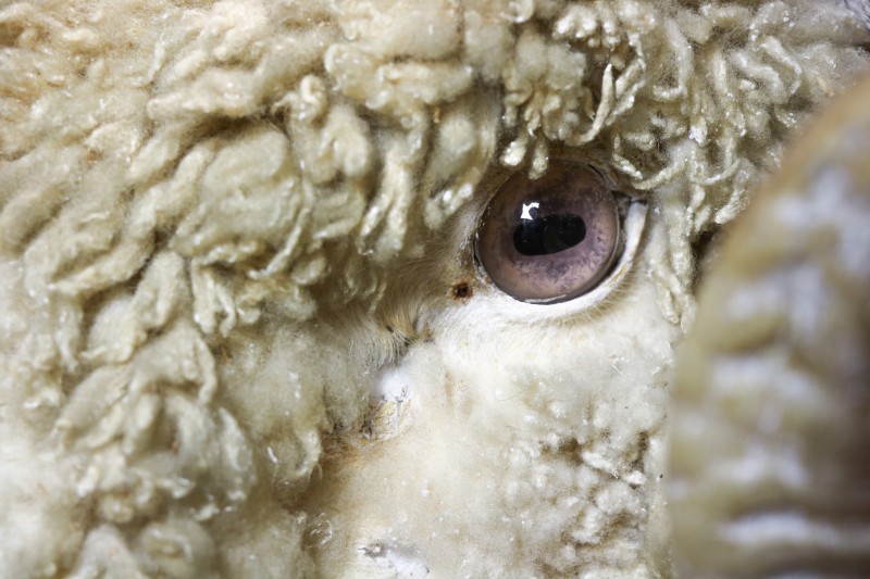 Au cœur de l'exposition « Du fil pour l’aiguille »