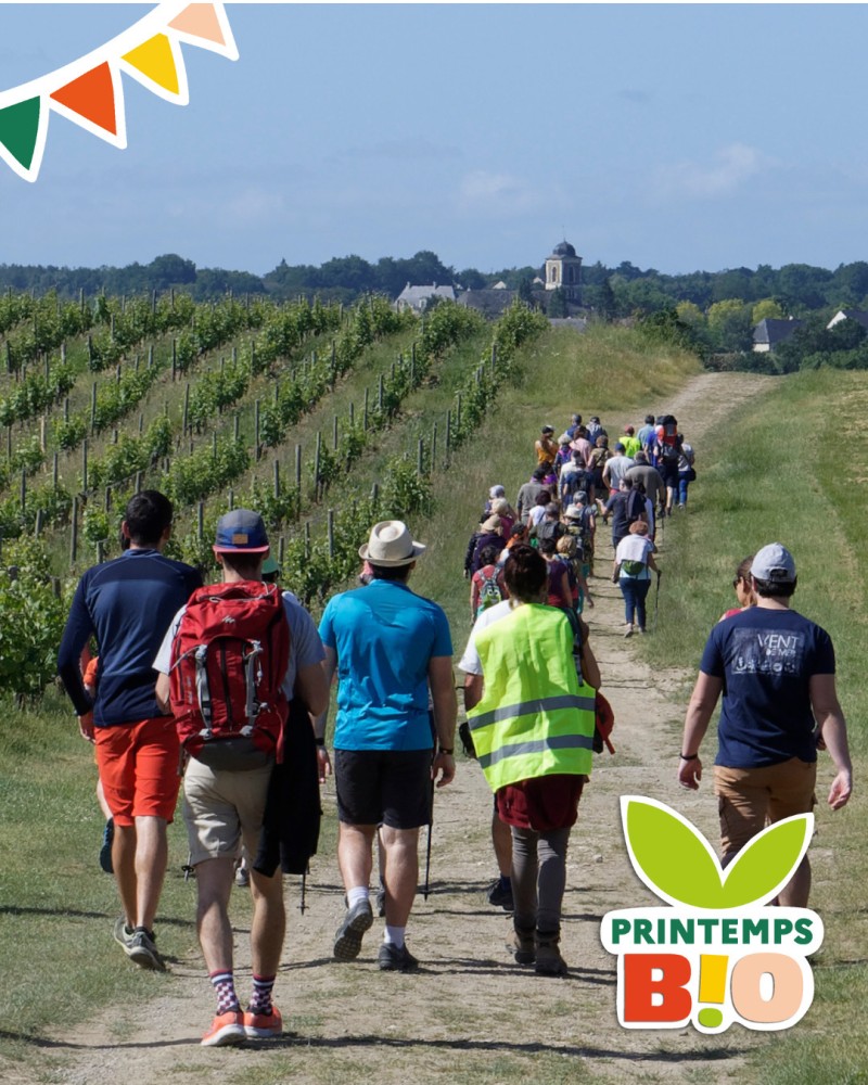 Randonnée, pique-nique et marché bio (3/3)