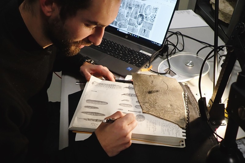 Entre terrain et laboratoire : reconstituer la flore du Permien de Lodève