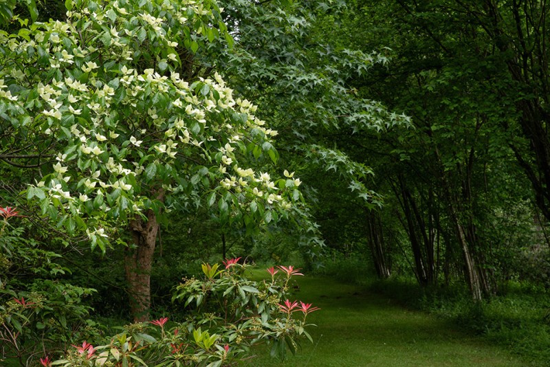 visite decouverte du jardin arboretum