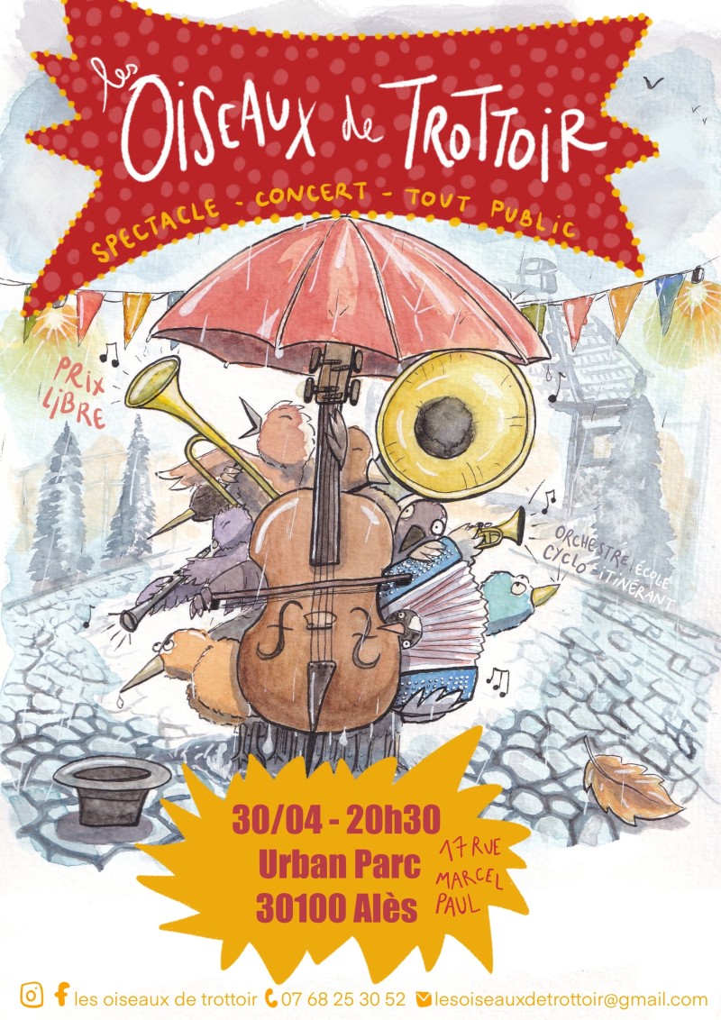 Les oiseaux de trottoir