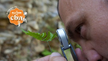 Sortie nature - La botanique à la loupe (Uhart-mixe)
