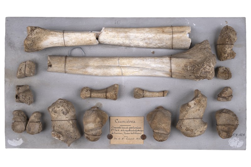 Autour de "l'Homme de Cumières"