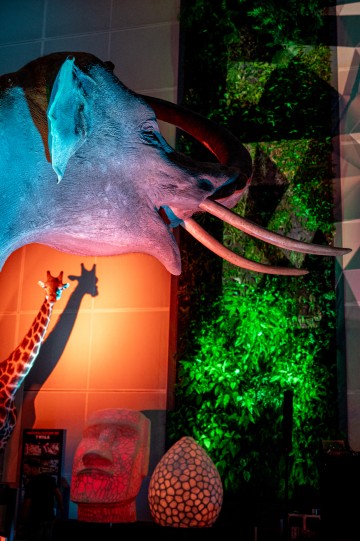 Spectacle : Improvisations dansées