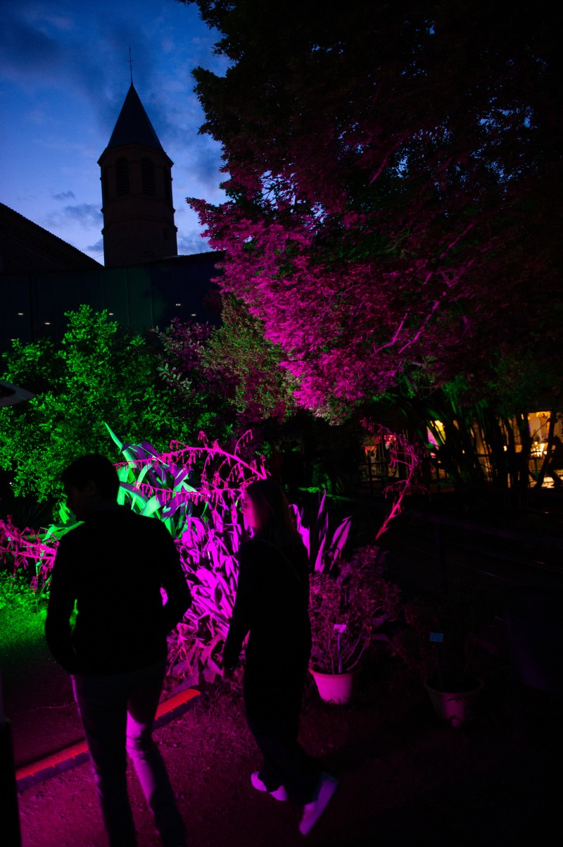 Visite du Jardin Botanique Henri Gaussen