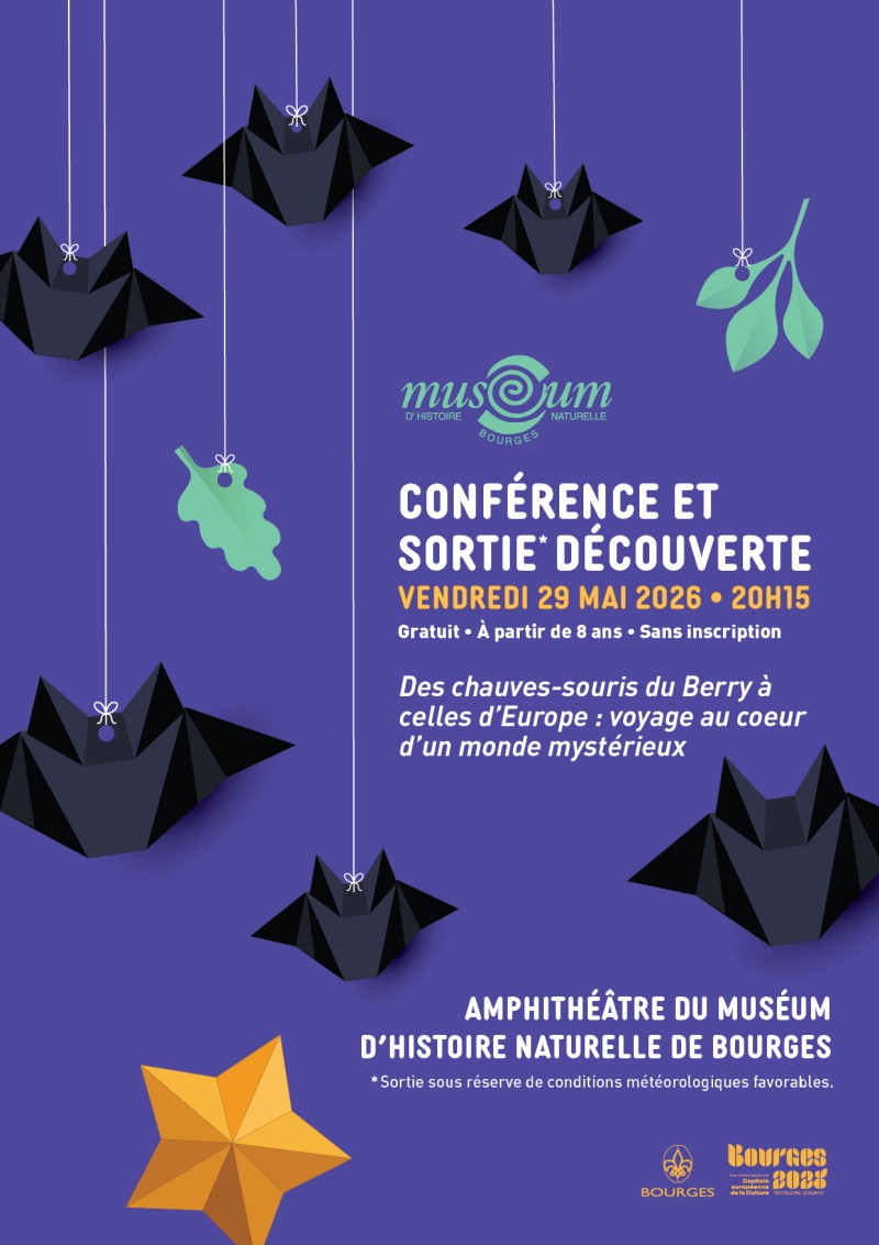 Conférence et sortie découverte Muséum d'histoire naturelle, chauve-souris