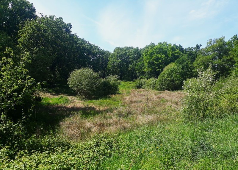 Découverte du parc et des jardins familiaux de l’Amande