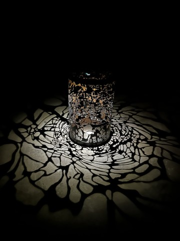 Proliferation in situ