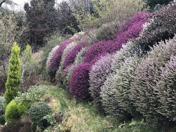 Visite de jardin au profit de Jardin et Santé