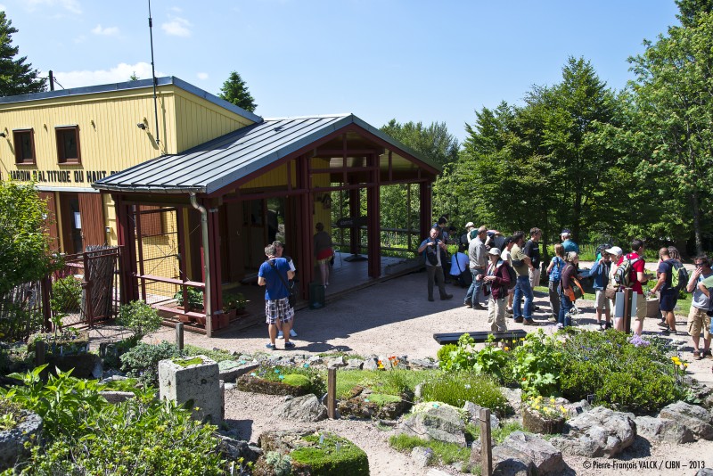 Visite découverte du Jardin d'altitude du Haut Chitelet