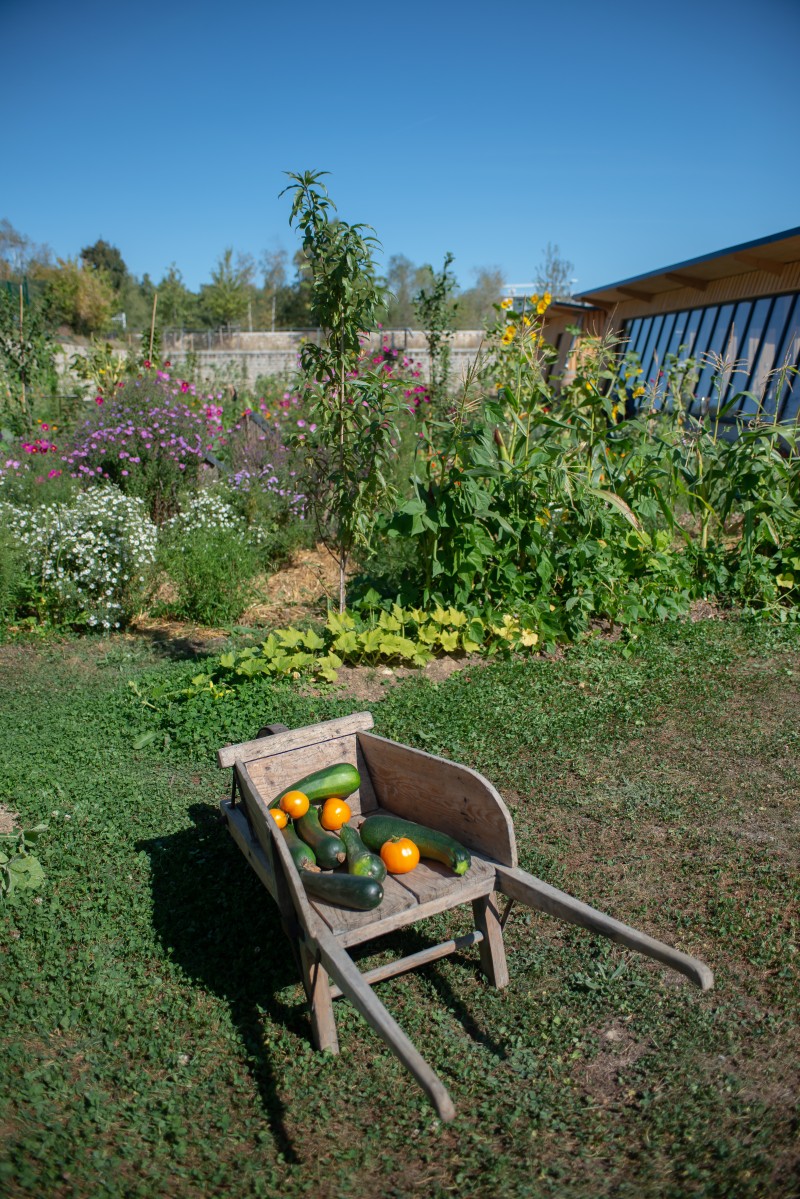 Ferme Nature et Découvertes
