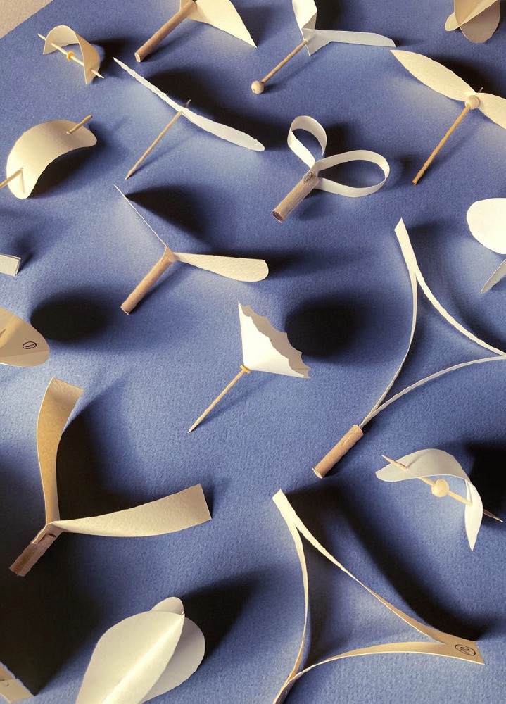 Atelier biomimétisme : le génie des graines