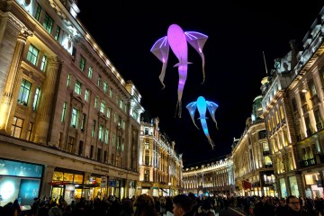 Spectacles : Rêves indomptés & Les Luminéoles