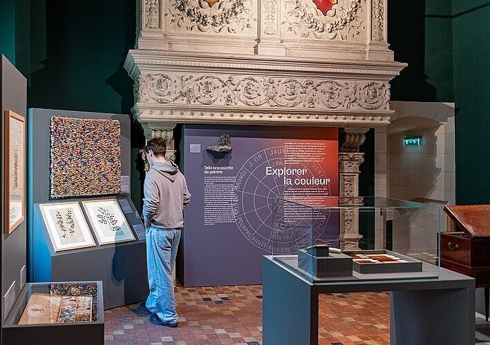 Médiations flash « Explorer la couleur »
