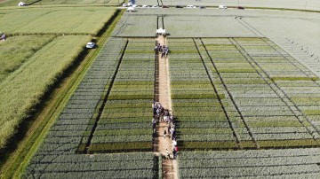 Plateforme d'expérimentation en grandes cultures - Sud Île-de-France