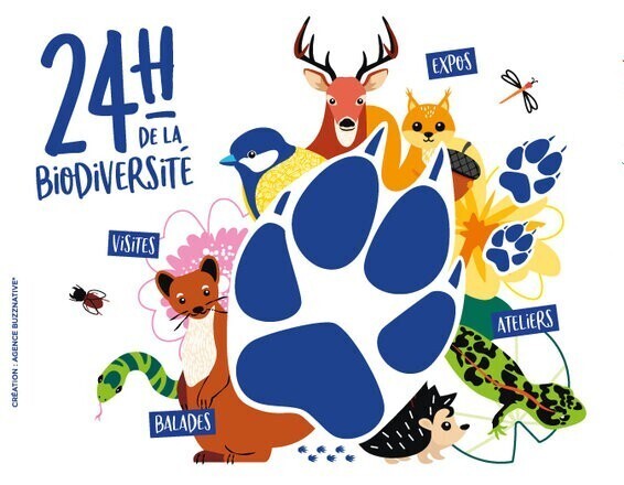 Festiv'Assos 2026 - 12e édition - La Source Grandeur Nature !