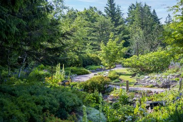 Concert de guitares classiques au Haut-Chitelet