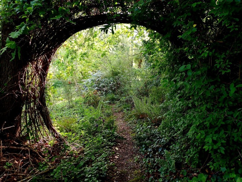 Visite du jardin expérimental de Biodiversio
