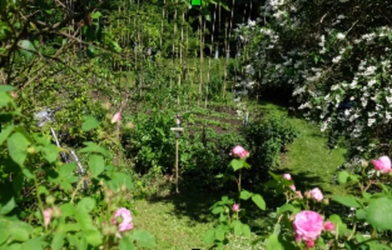 Visite du jardin Cérémonium