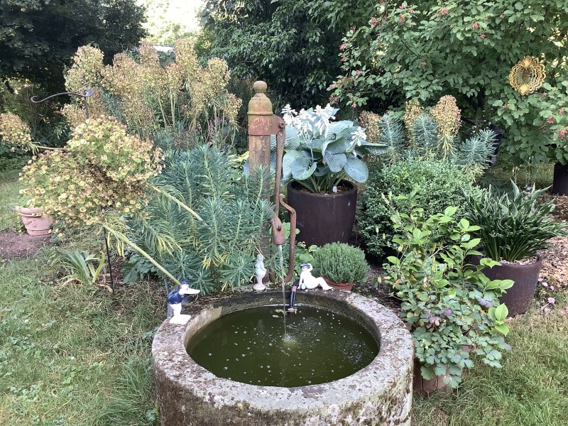 Visite exceptionnelle du jardin du château des Brosses