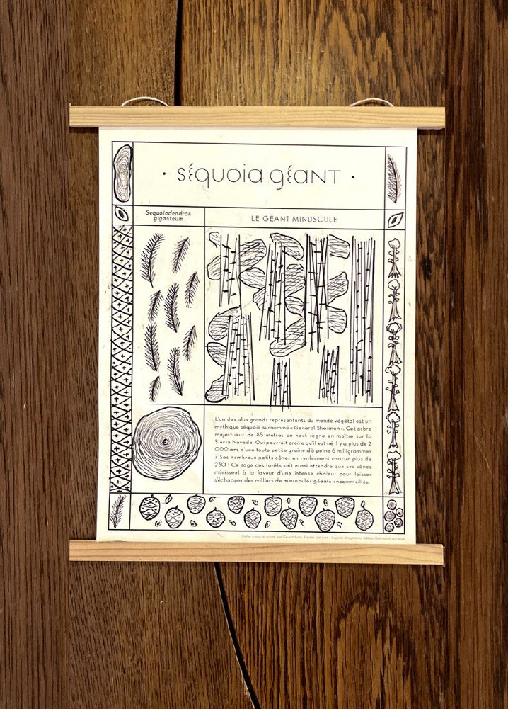 Atelier de botanique : formes & motifs de la nature