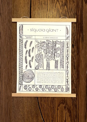 Atelier de botanique : formes & motifs de la nature