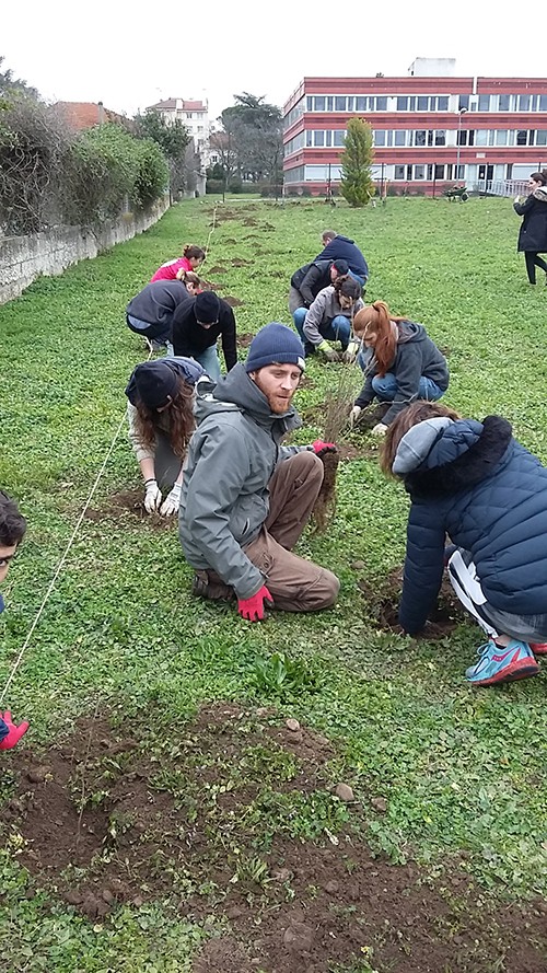 Végétaliser sa copropriété - De l'idée à la réalisation