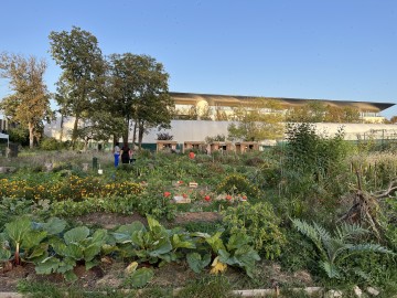 Portes ouvertes aux jardins partagés