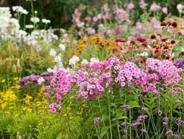 Exposition/vente de plantes