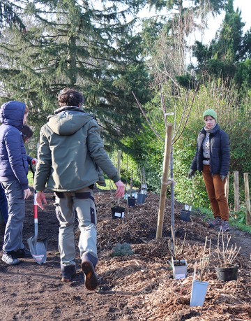 Végétaliser sa copropriété - De l'idée à la réalisation