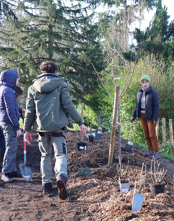 Végétaliser sa copropriété - De l'idée à la réalisation